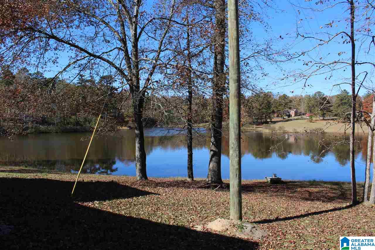 1825 Lynch Lake Road Odenville, AL 35120 - Photo 20 of 27