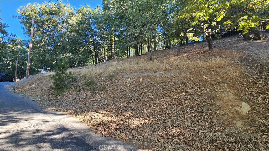 72 Park Drive Running Springs, CA 92382 - Photo 2 of 10