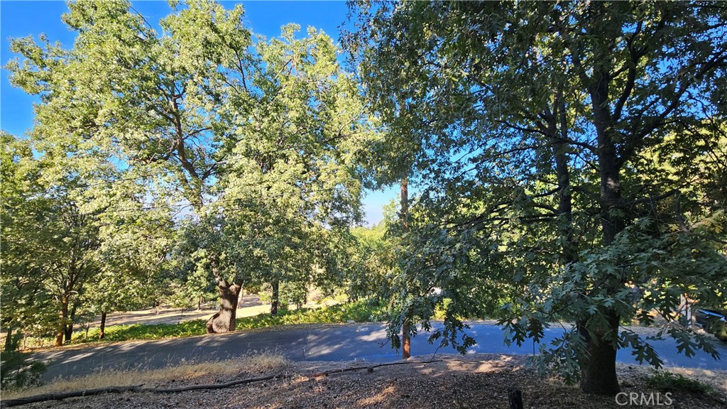 72 Park Drive Running Springs, CA 92382 - Photo 3 of 10