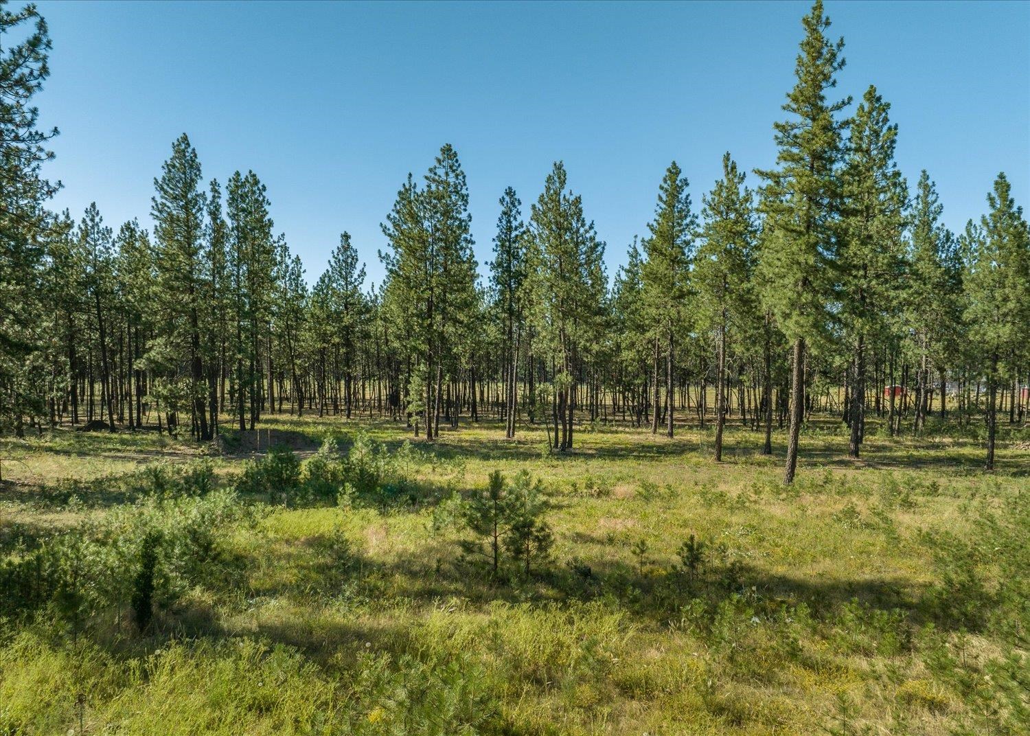6912 West Melville Road Cheney, WA 99004 - Photo 34 of 41 Gallery Image 34