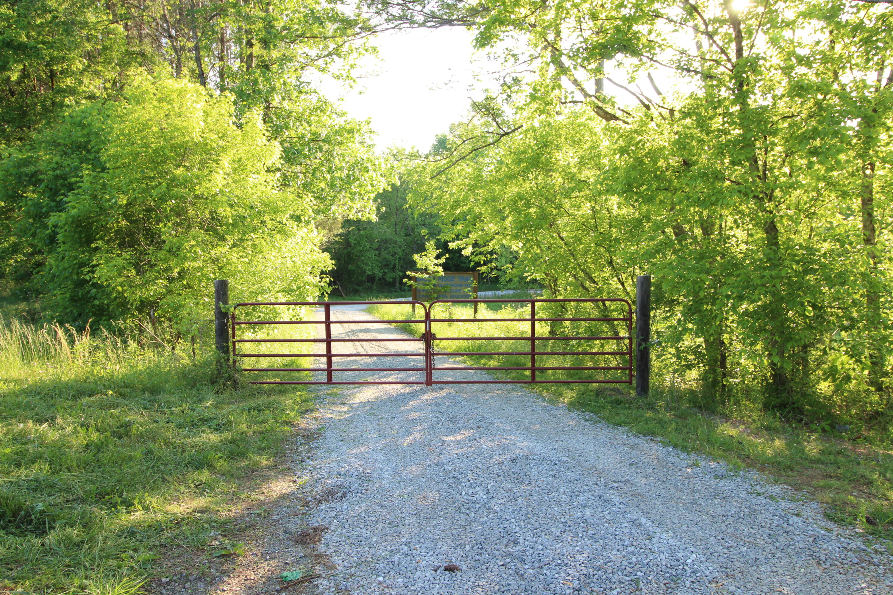 4 Dogtown Road Ten Mile, TN 37880 - Photo 1 of 33 IMG_4938
