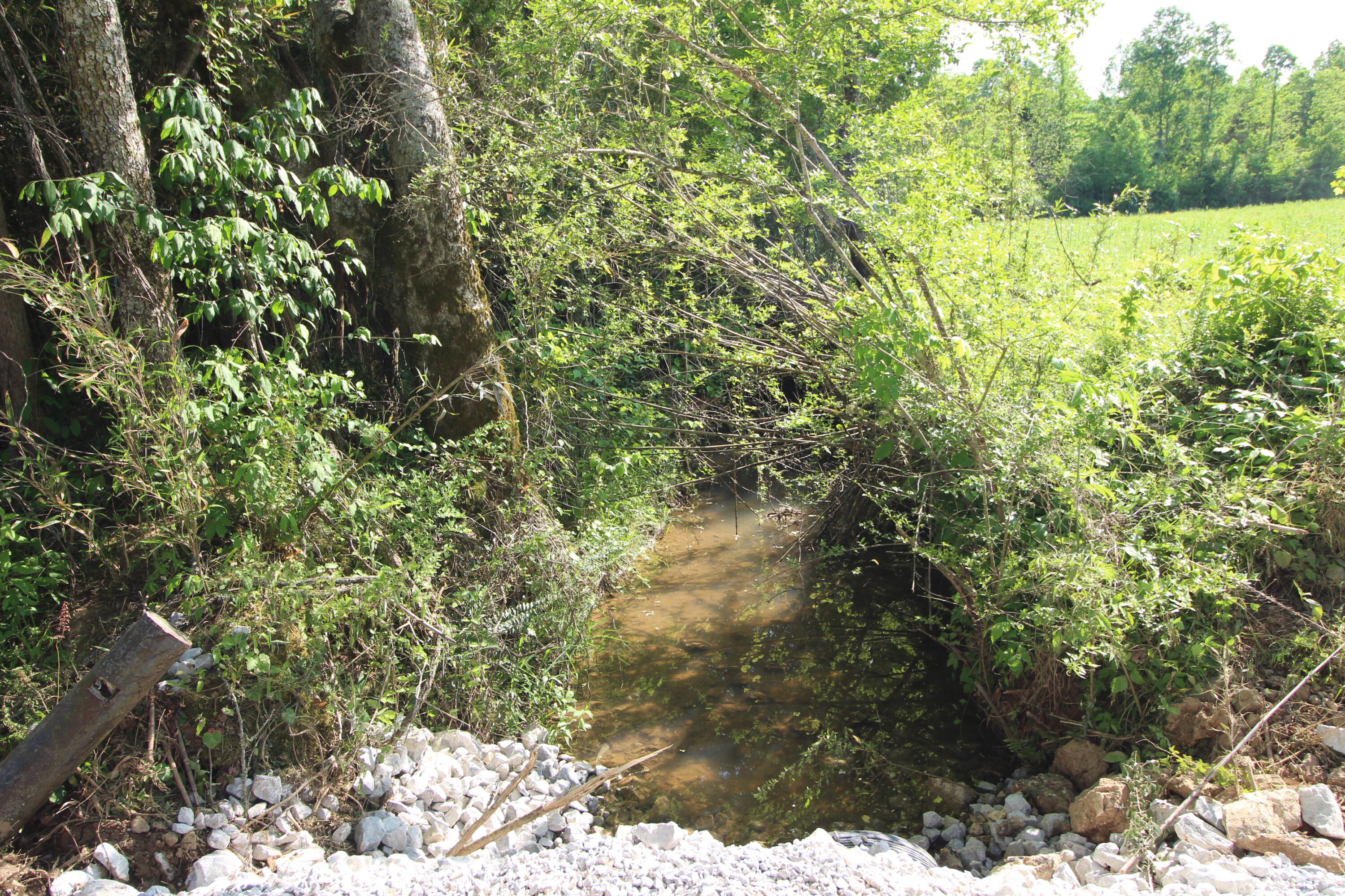 4 Dogtown Road Ten Mile, TN 37880 - Photo 17 of 33 IMG_4909