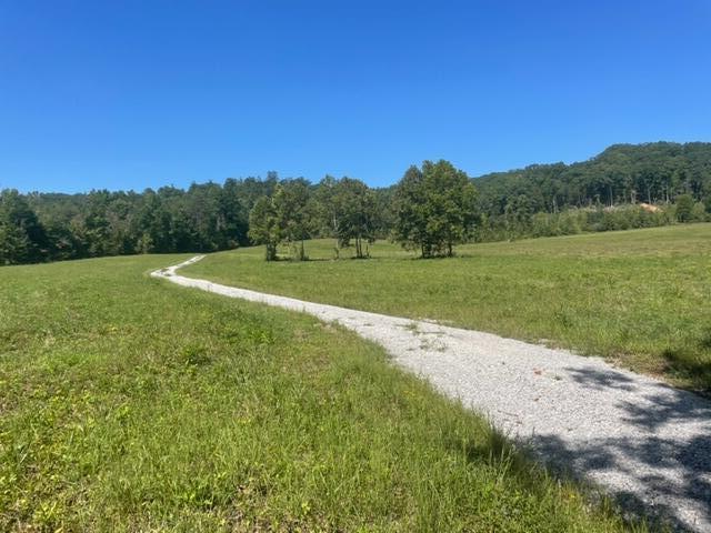 4 Dogtown Road Ten Mile, TN 37880 - Photo 29 of 33 IMG_4700