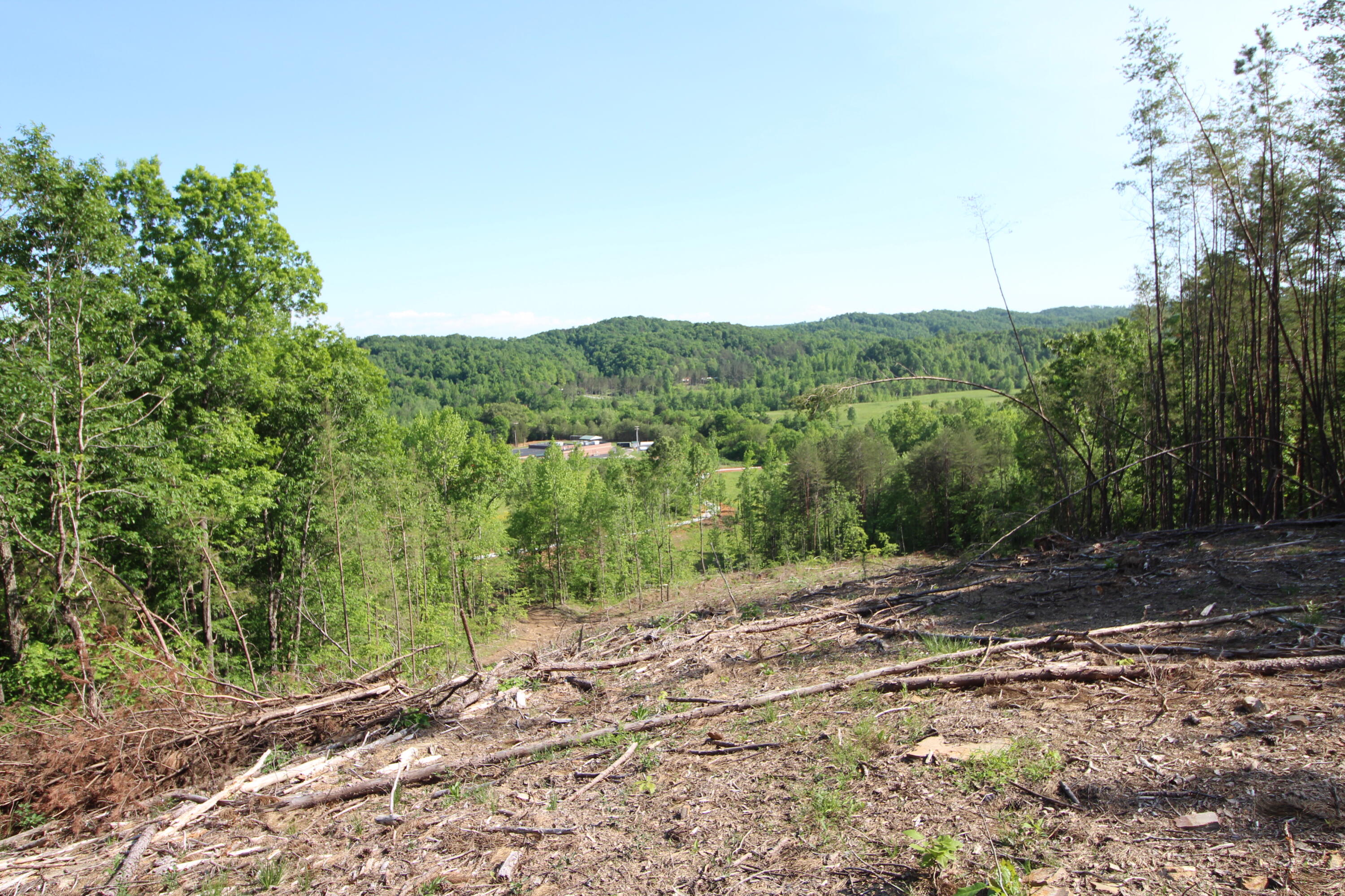 4 Dogtown Road Ten Mile, TN 37880 - Photo 3 of 33 IMG_4872