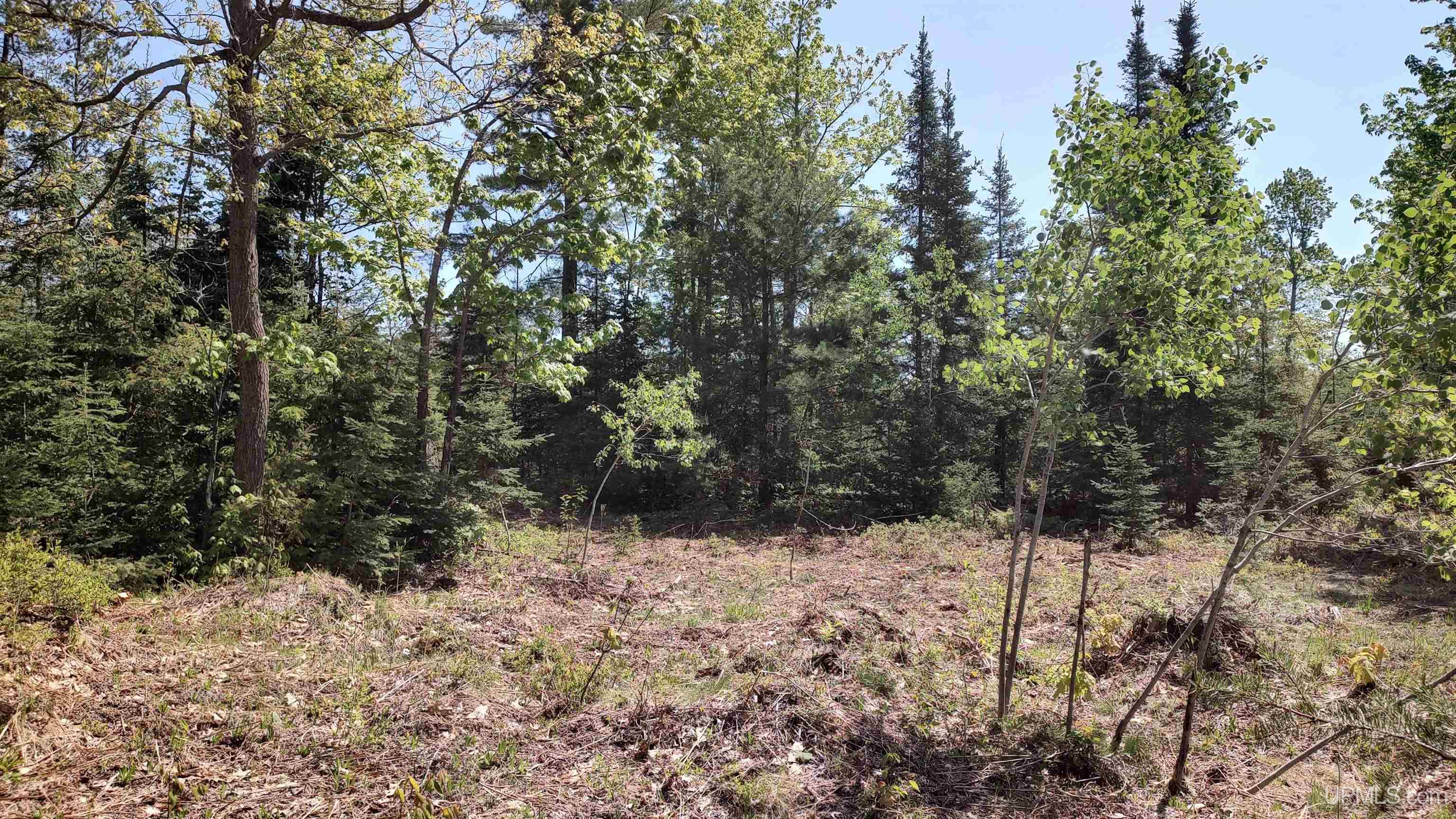 386 Willow Creek Road Ishpeming, MI 49849 - Photo 21 of 37 Gallery Image 21