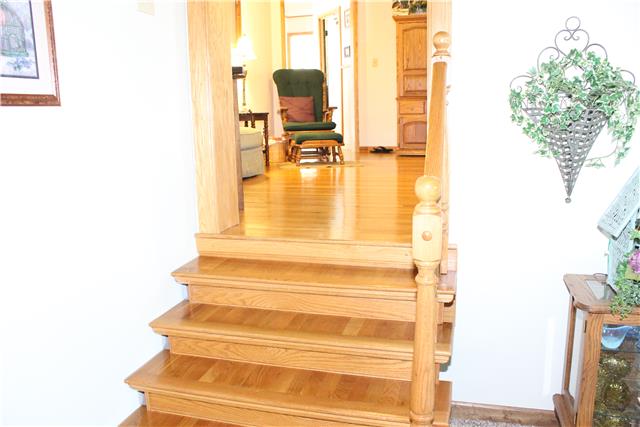 1077 Gnat Hill Road Manchester, TN 37355 - Photo 16 of 20 STEP DOWN TO LARGE LIVING ROOM.
