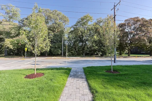 a view of a park with large trees