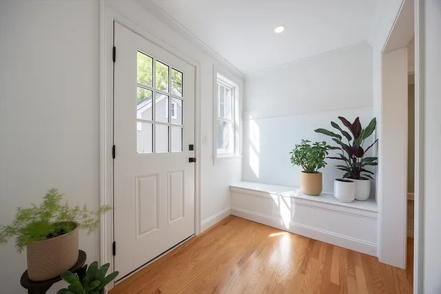 a view of a house with wooden floor and a potted plant