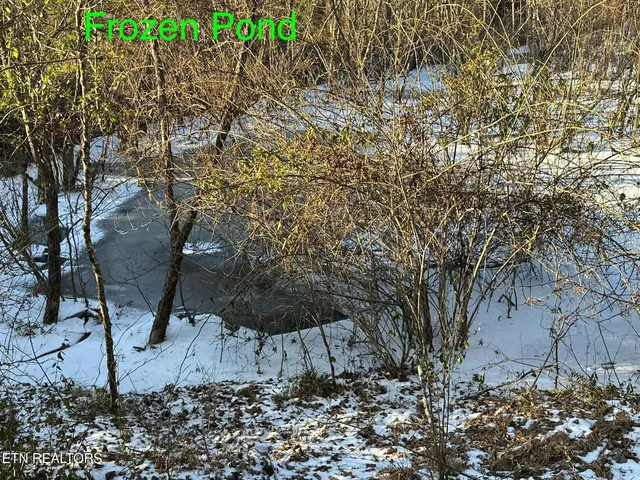 $125,000 | Tbd Wilderness Road, Pennington Gap, VA 24277