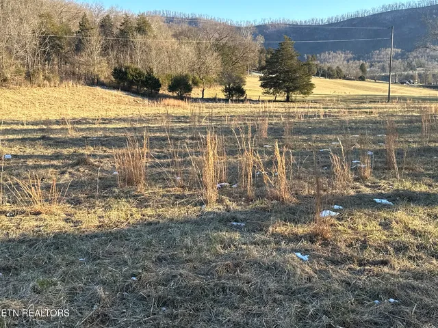 $125,000 | Tbd Wilderness Road, Pennington Gap, VA 24277