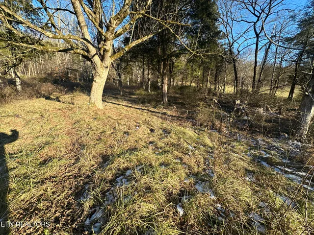 $125,000 | Tbd Wilderness Road, Pennington Gap, VA 24277