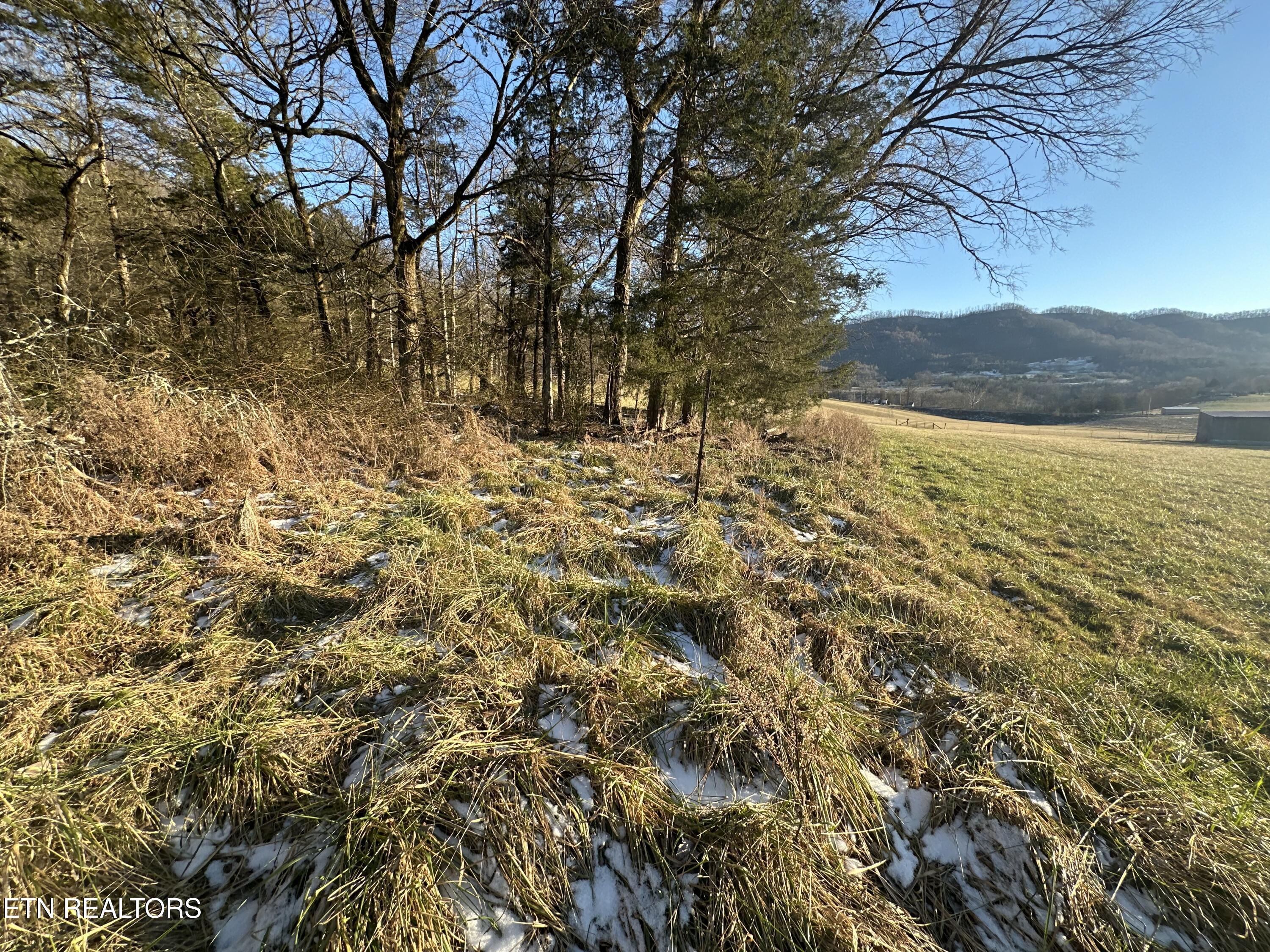 Tbd Wilderness Road Pennington Gap, VA 24277 - Photo 9 of 12 IMG_2362