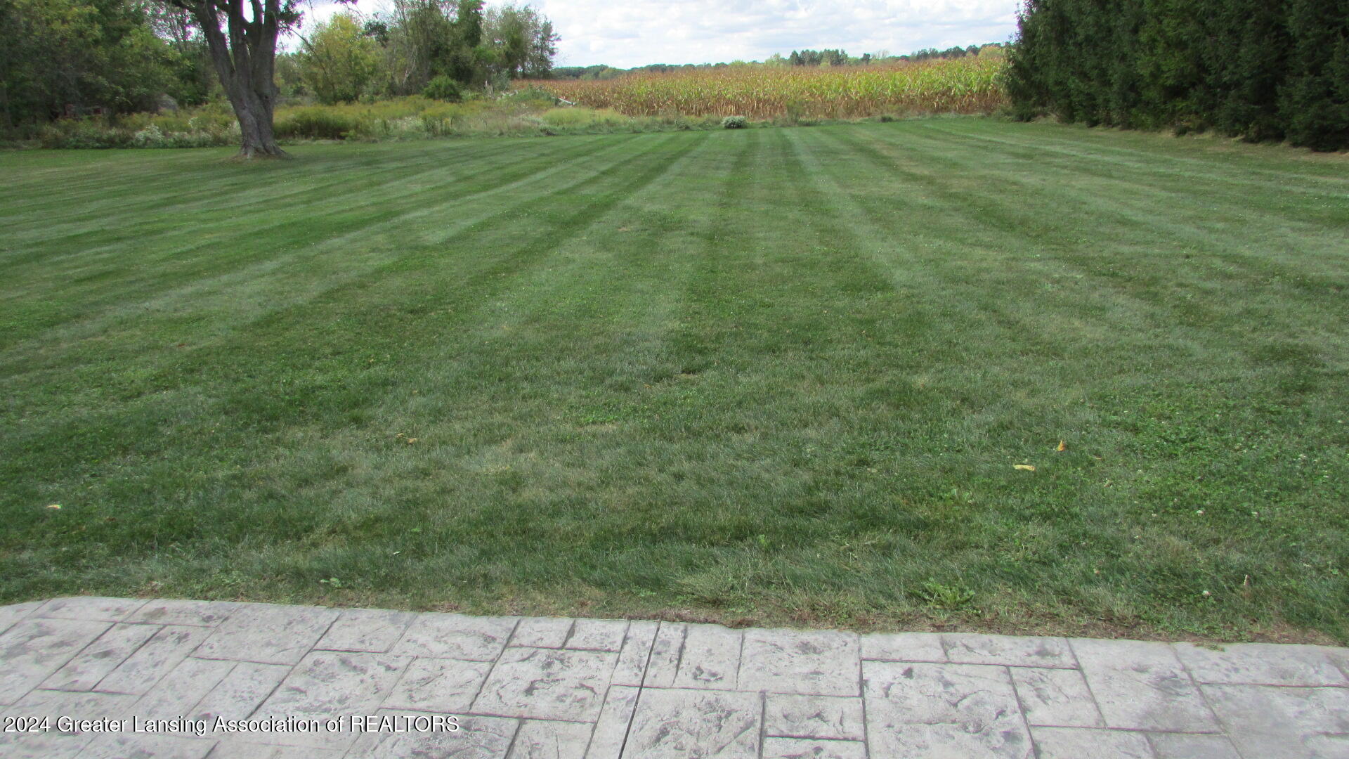 1101 Hagadorn Road Mason, MI 48854 - Photo 17 of 22 IMG_5173