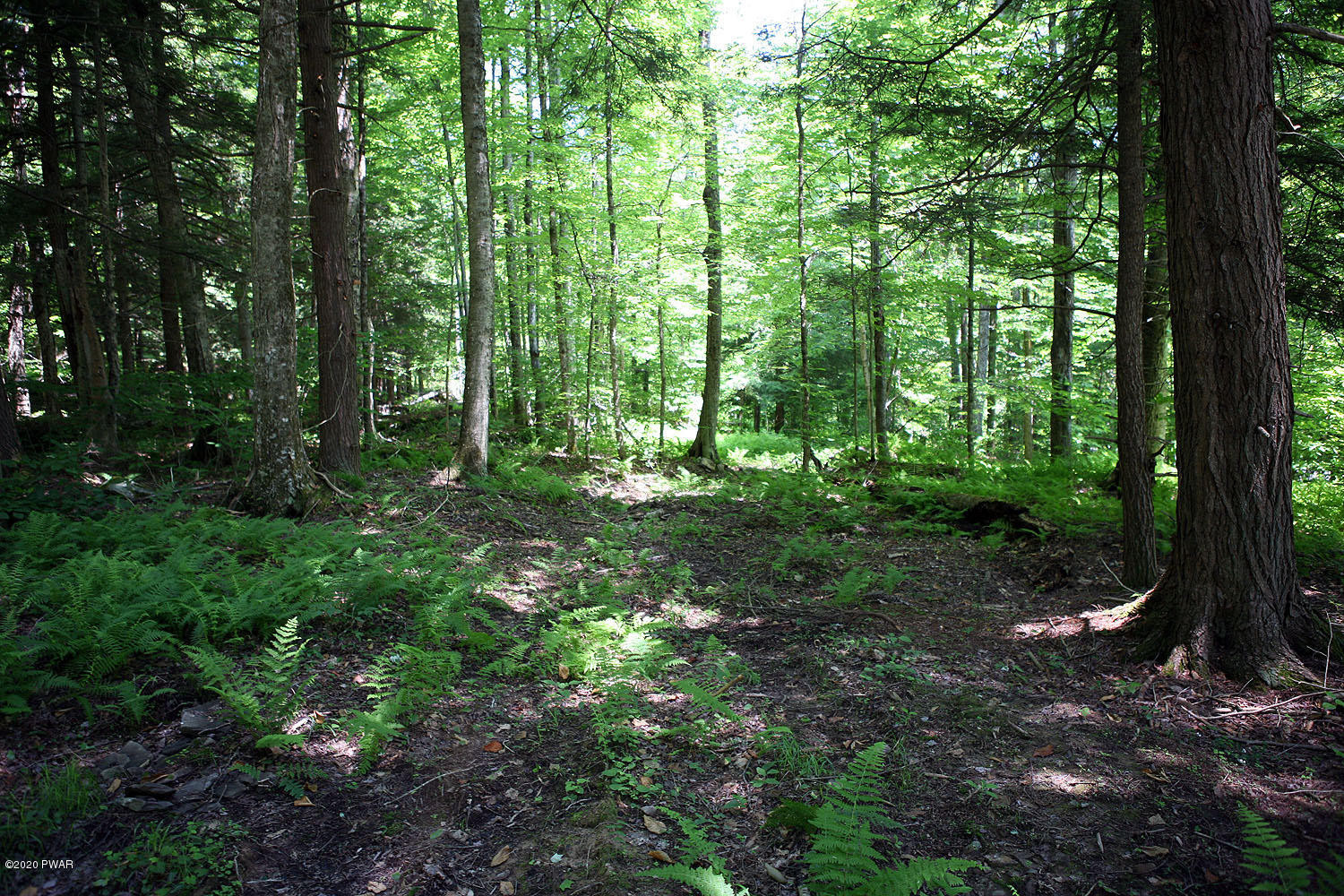 0 Braman Road Equinunk, PA 18417 - Photo 21 of 36