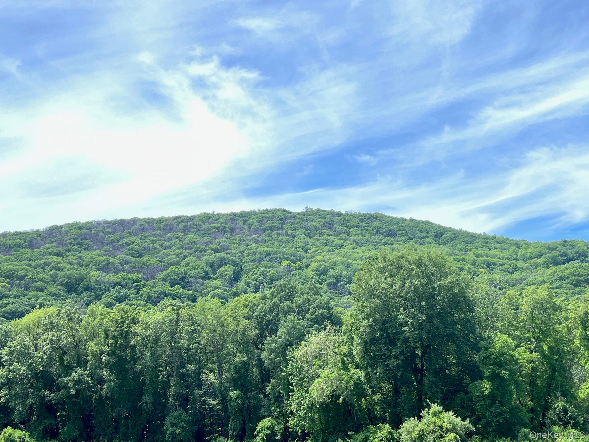 Perrys Corners Road Amenia, NY 12501 - Photo 11 of 14 View of mountain background featuring a heavily wooded area
