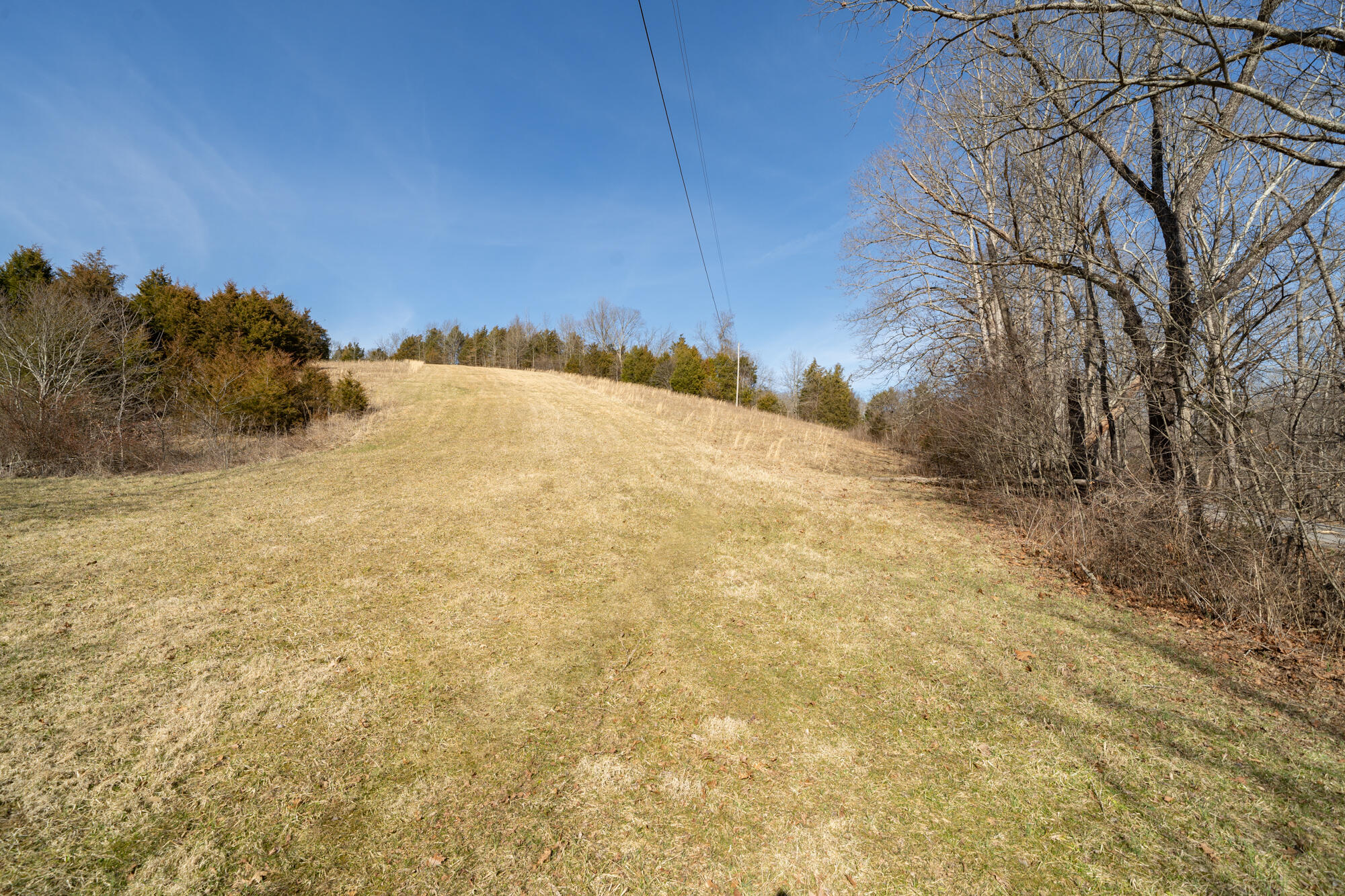 17.67-ac Fork Lick Road Corinth, KY 41010 - Photo 13 of 18 Gallery Image 13