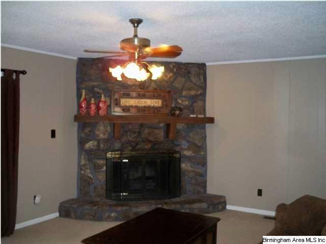 100 Maple Street Alabaster, AL 35114 - Photo 9 of 29