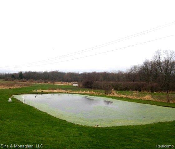1132 South Allen Road St. Clair, MI 48079 - Photo 20 of 24 IMG_1058.jpeg