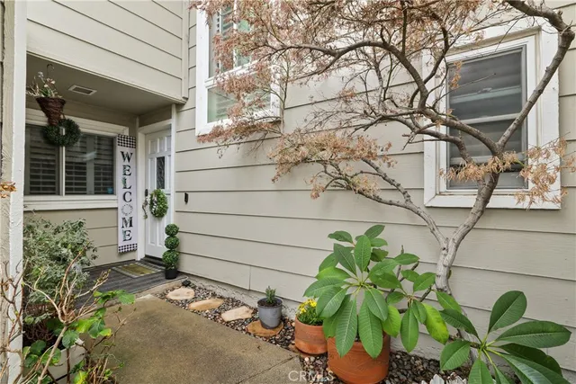 a plant with a plant in front of house