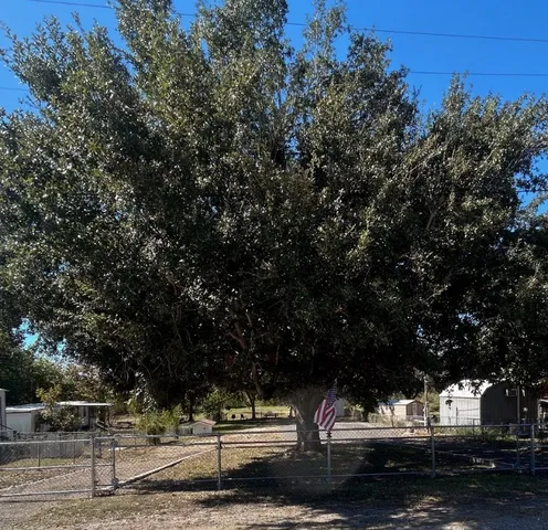 a outdoor space with lots of trees