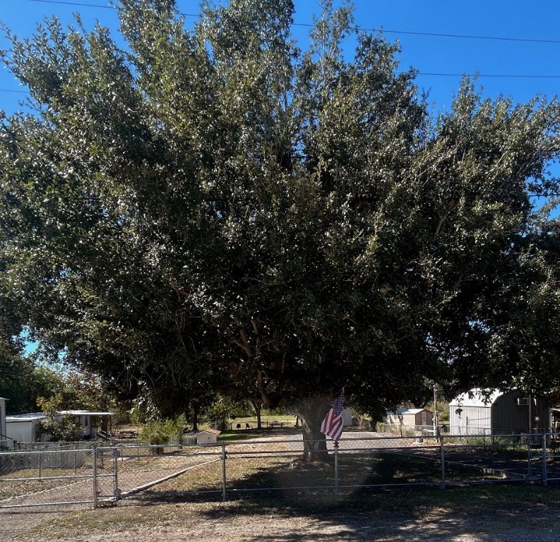 9637 County Road 505 Mathis, TX 78368 - Photo 2 of 6 a outdoor space with lots of trees