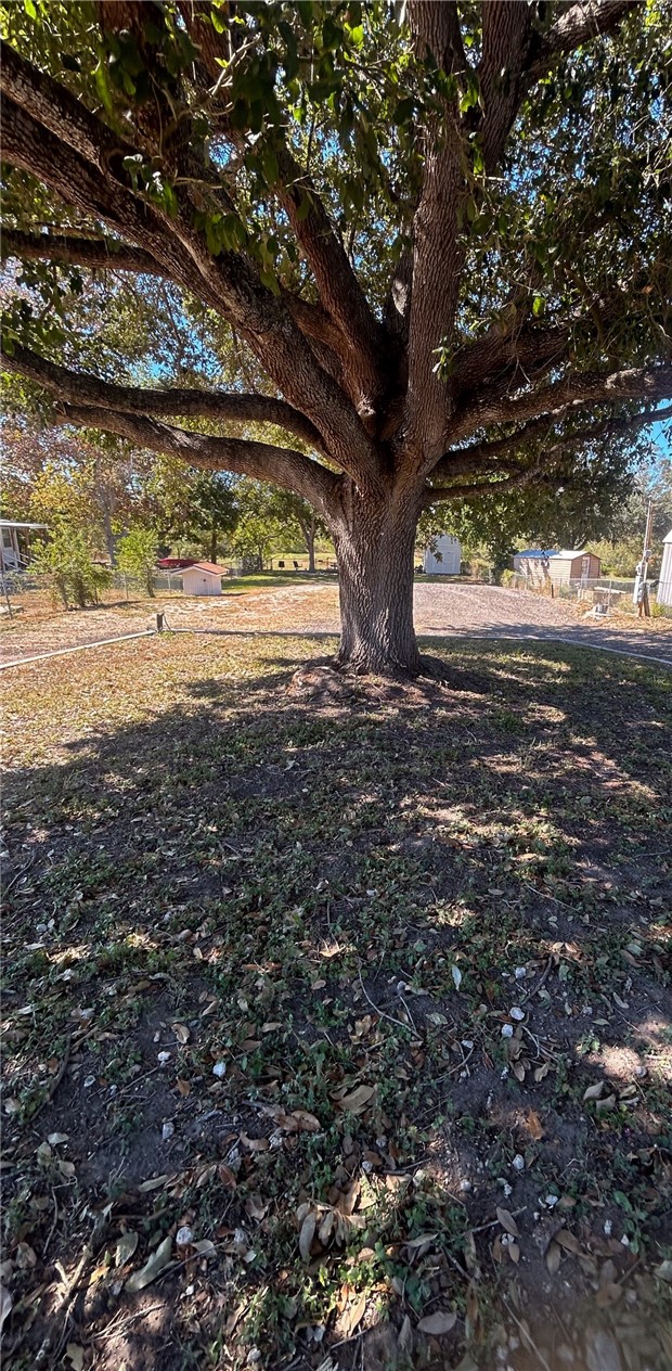 9637 County Road 505 Mathis, TX 78368 - Photo 4 of 6 a view of a yard with an tree