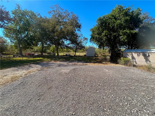 a view of a yard with a tree