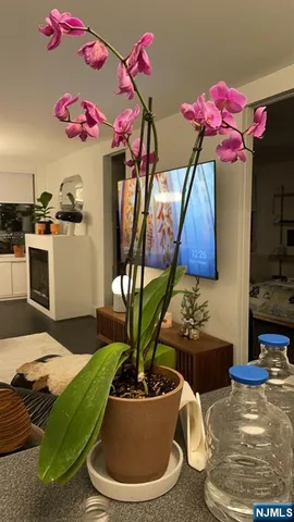 a vase of flowers sitting on a table