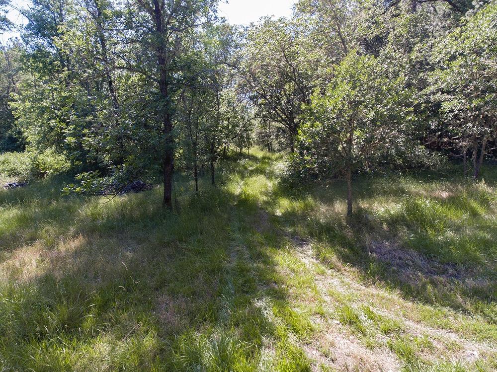 0 Cedar Flat Road Williams, OR 97544 - Photo 11 of 12 Additional Photo