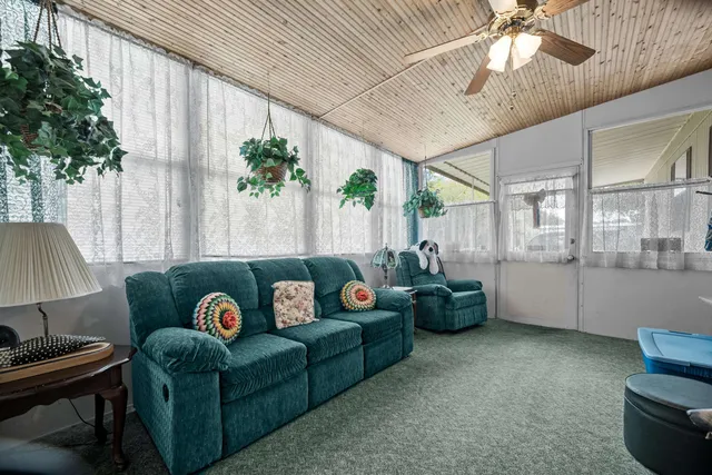 a living room with furniture and a potted plant