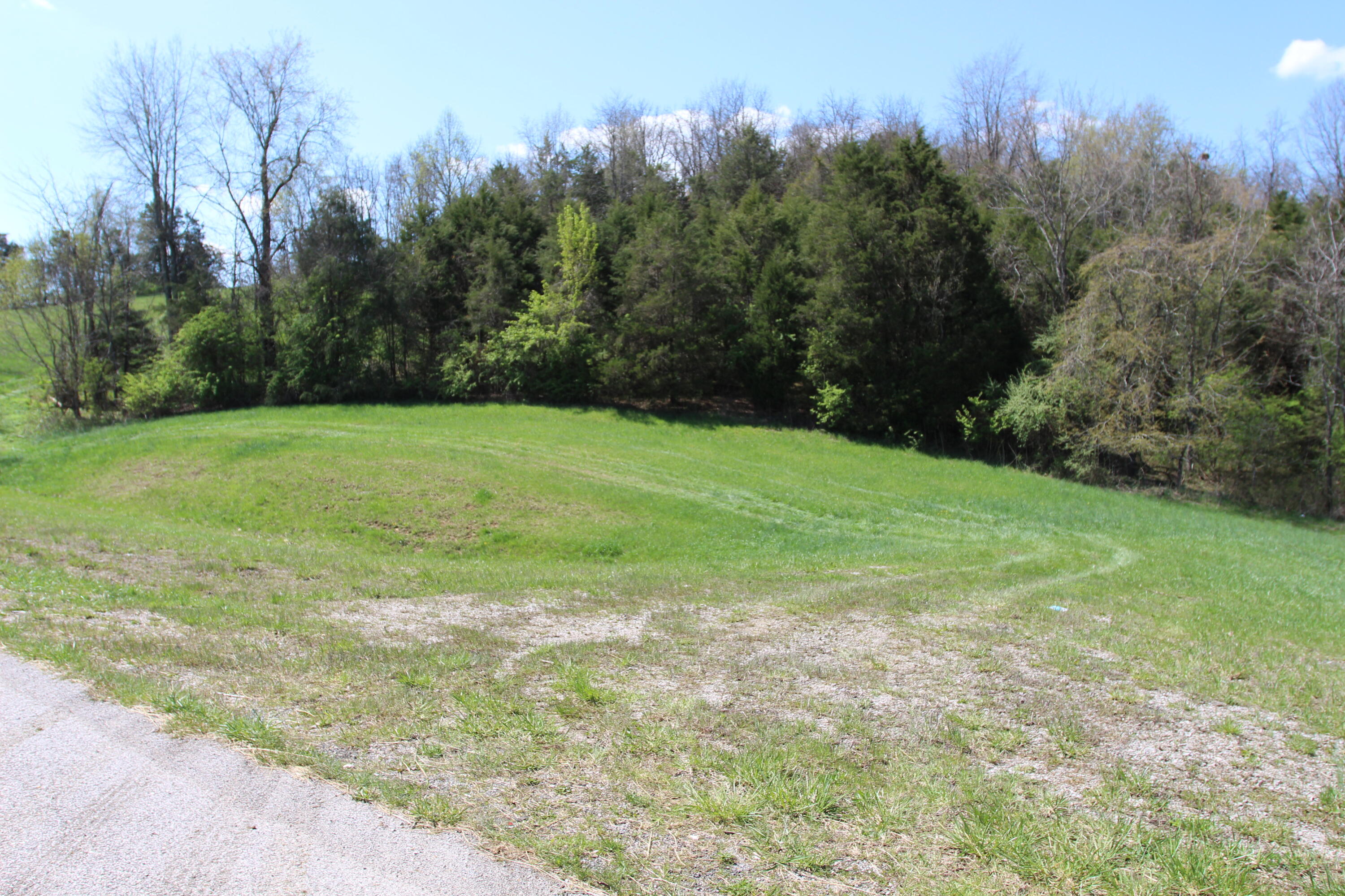127 Owenton Road Owenton, KY 40359 - Photo 26 of 33 1- land owen county (25)