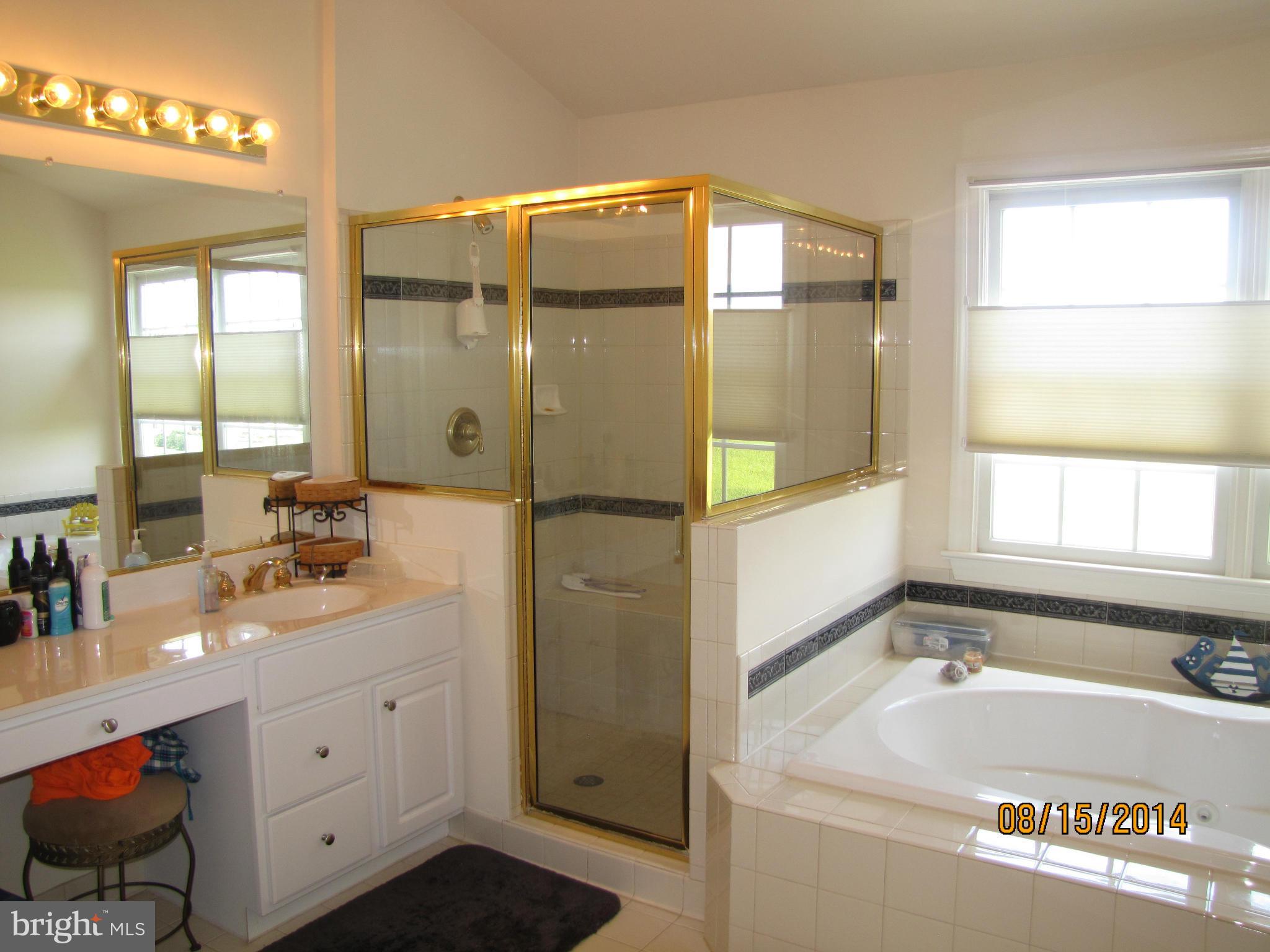 19542 Mill Point Road Boonsboro, MD 21713 - Photo 23 of 26 Bath (Master)