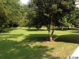 876 Loop Circle Longs, SC 29568 - Photo 24 of 25 Gallery Image 24