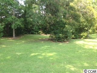 876 Loop Circle Longs, SC 29568 - Photo 25 of 25 Gallery Image 25