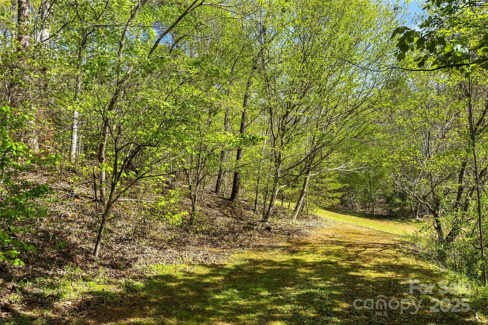1470 Lytle Mountain Road Marion, NC 28752 - Photo 16 of 44 Gallery Image 16