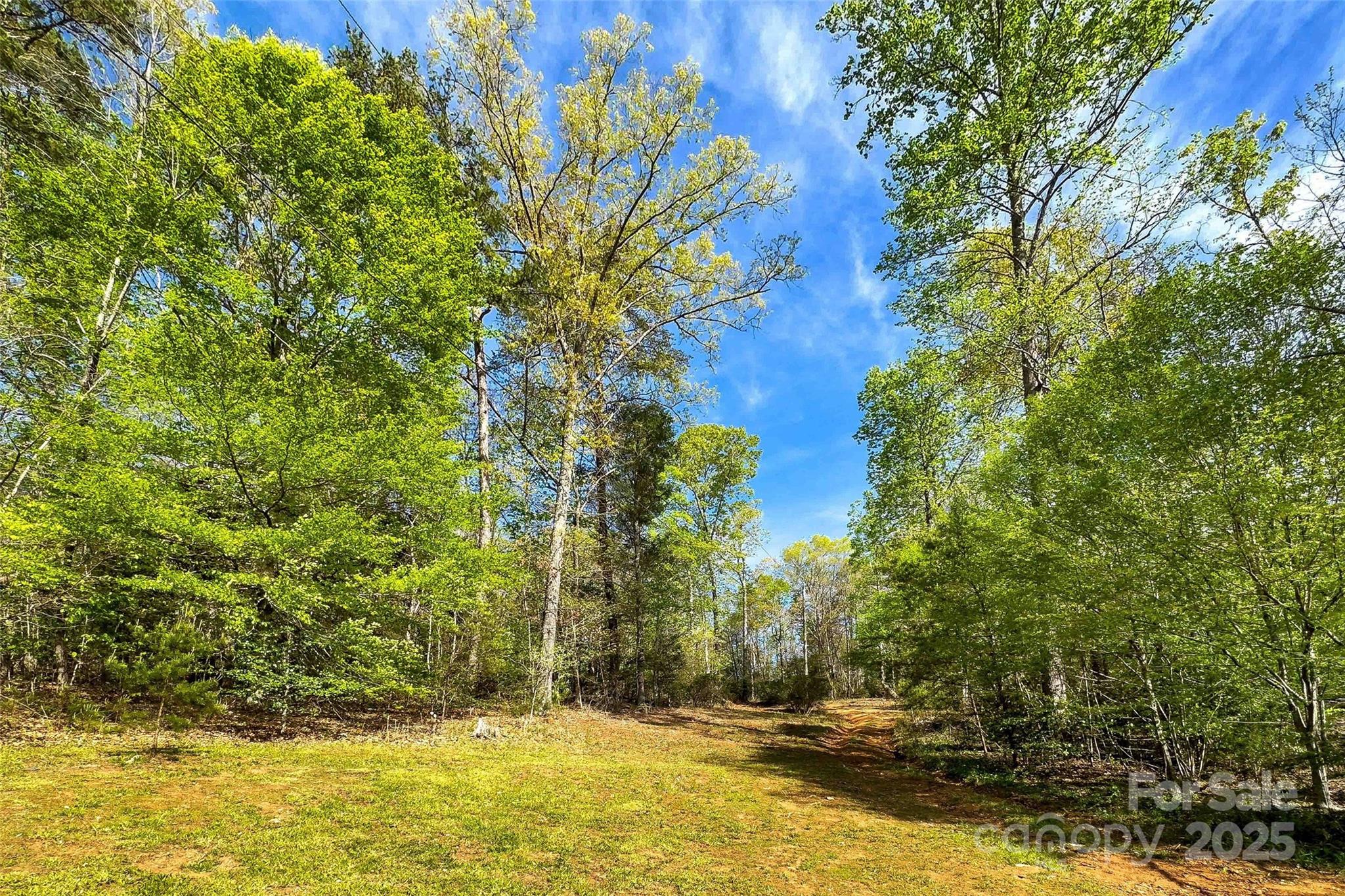 1470 Lytle Mountain Road Marion, NC 28752 - Photo 17 of 44 Gallery Image 17