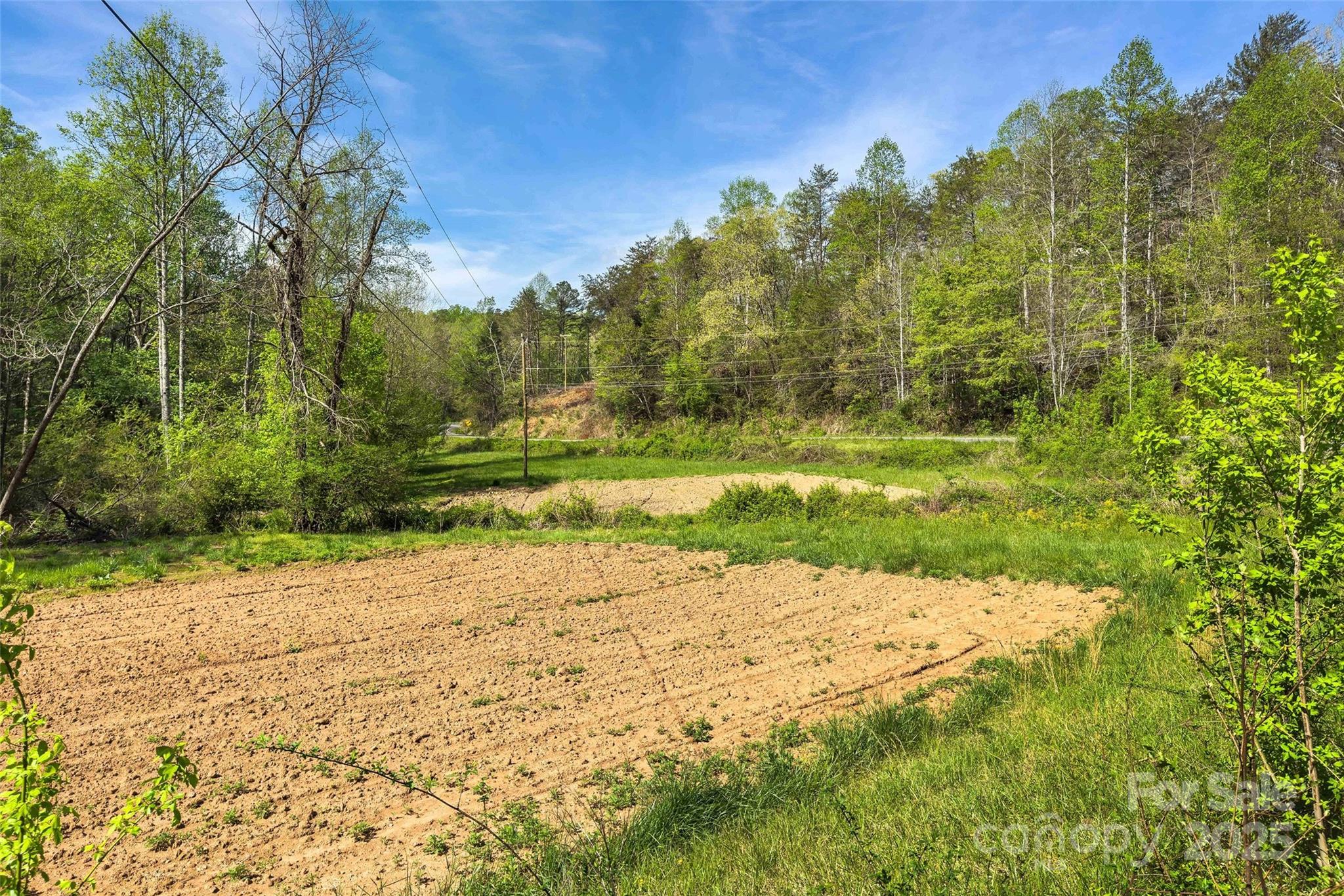 1470 Lytle Mountain Road Marion, NC 28752 - Photo 20 of 44 Gallery Image 20