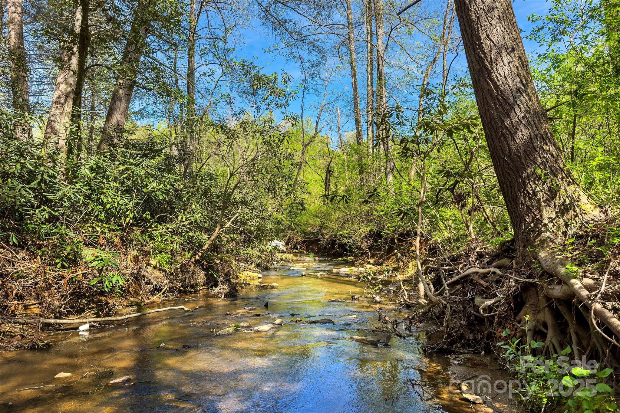 1470 Lytle Mountain Road Marion, NC 28752 - Photo 23 of 44 Gallery Image 23