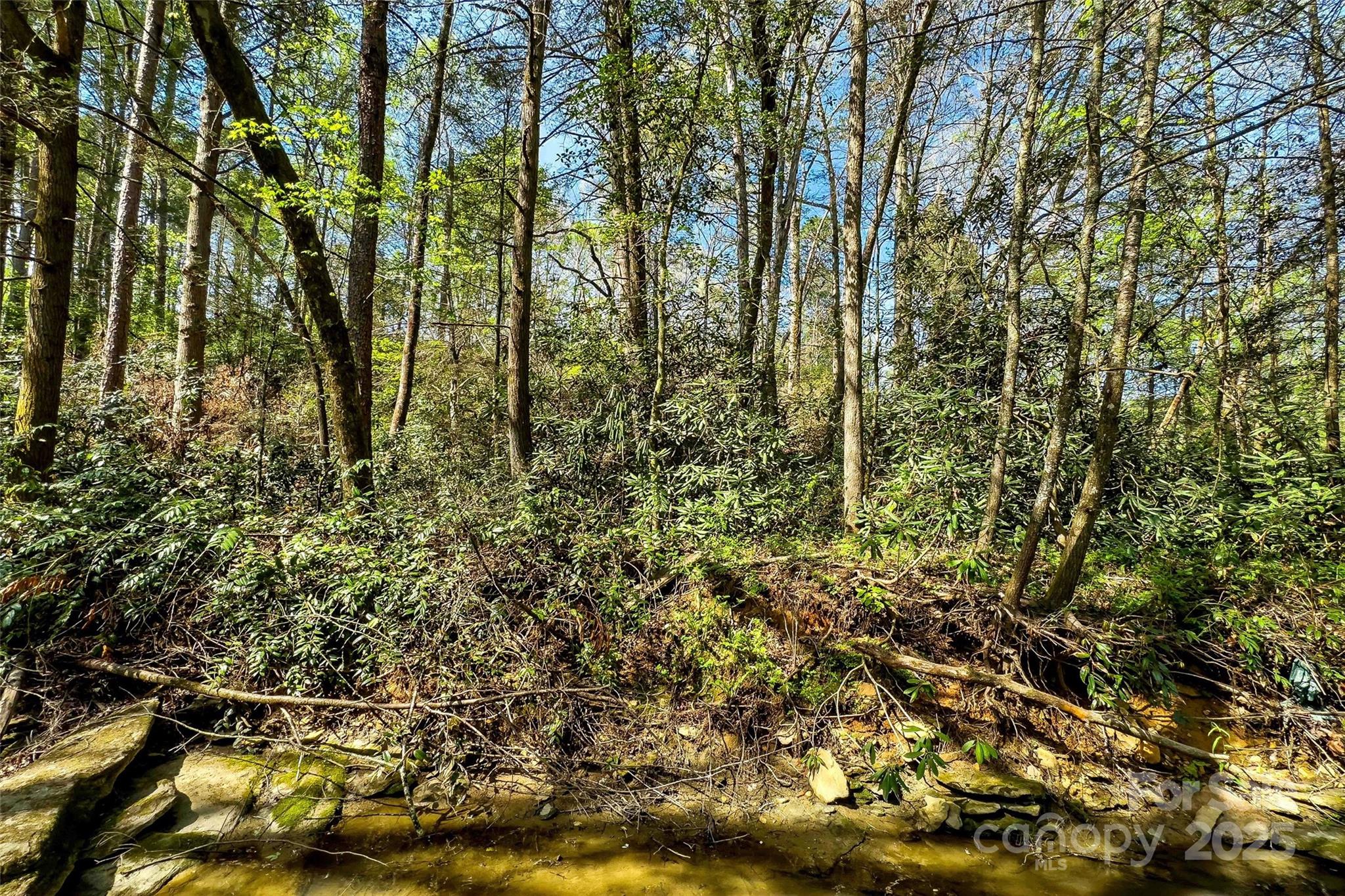 1470 Lytle Mountain Road Marion, NC 28752 - Photo 25 of 44 Gallery Image 25
