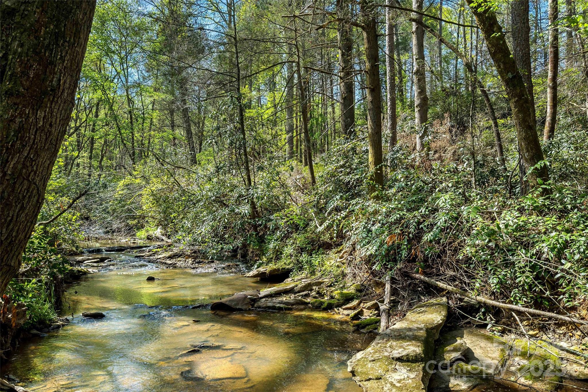 1470 Lytle Mountain Road Marion, NC 28752 - Photo 26 of 44 Gallery Image 26