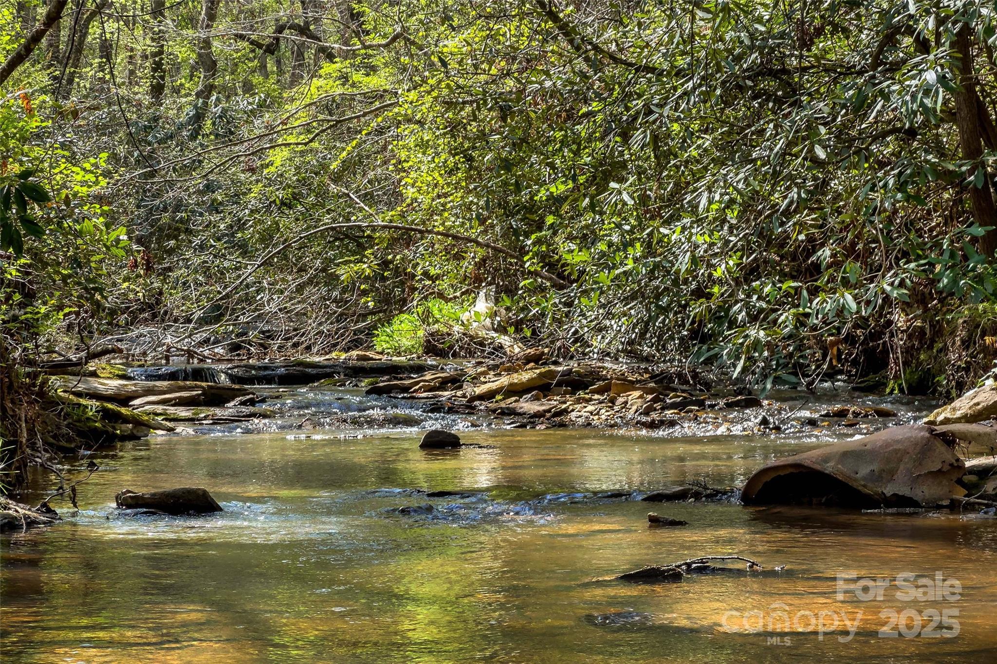 1470 Lytle Mountain Road Marion, NC 28752 - Photo 27 of 44 Gallery Image 27