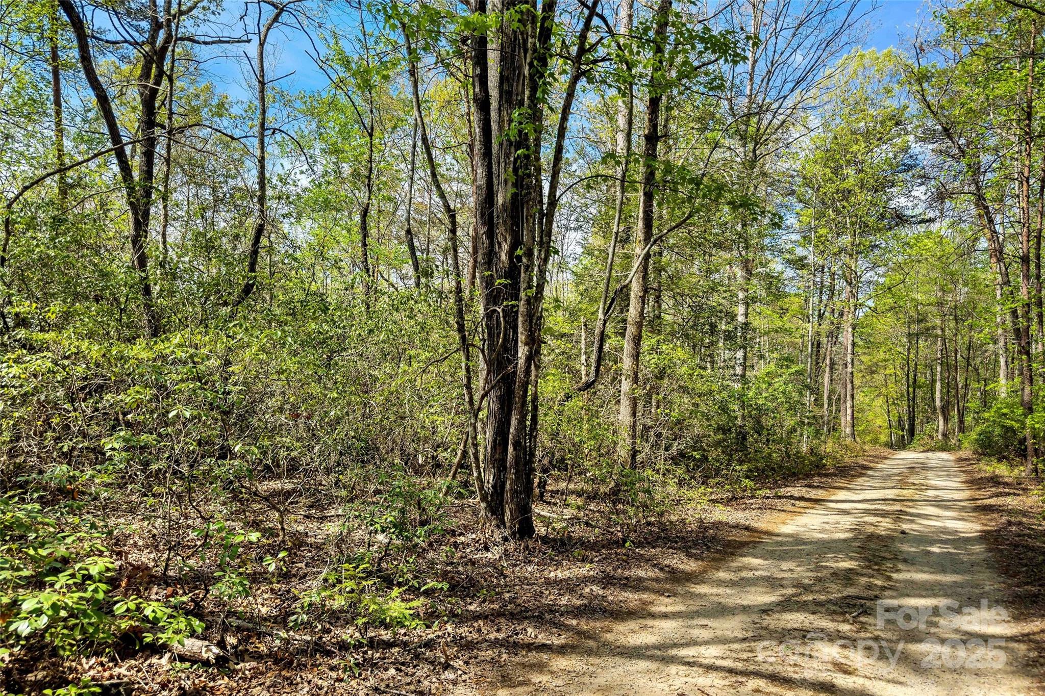 1470 Lytle Mountain Road Marion, NC 28752 - Photo 28 of 44 Gallery Image 28