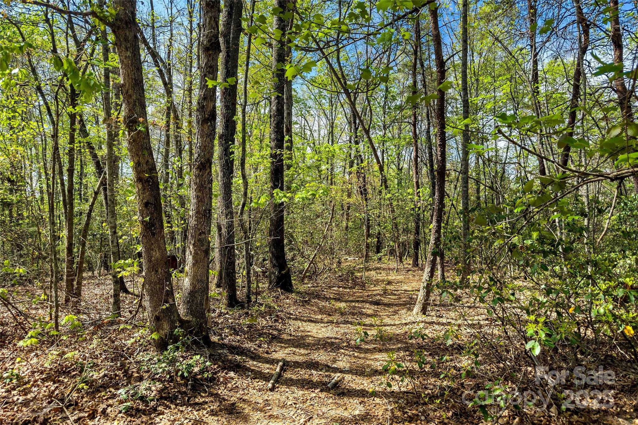 1470 Lytle Mountain Road Marion, NC 28752 - Photo 29 of 44 Gallery Image 29