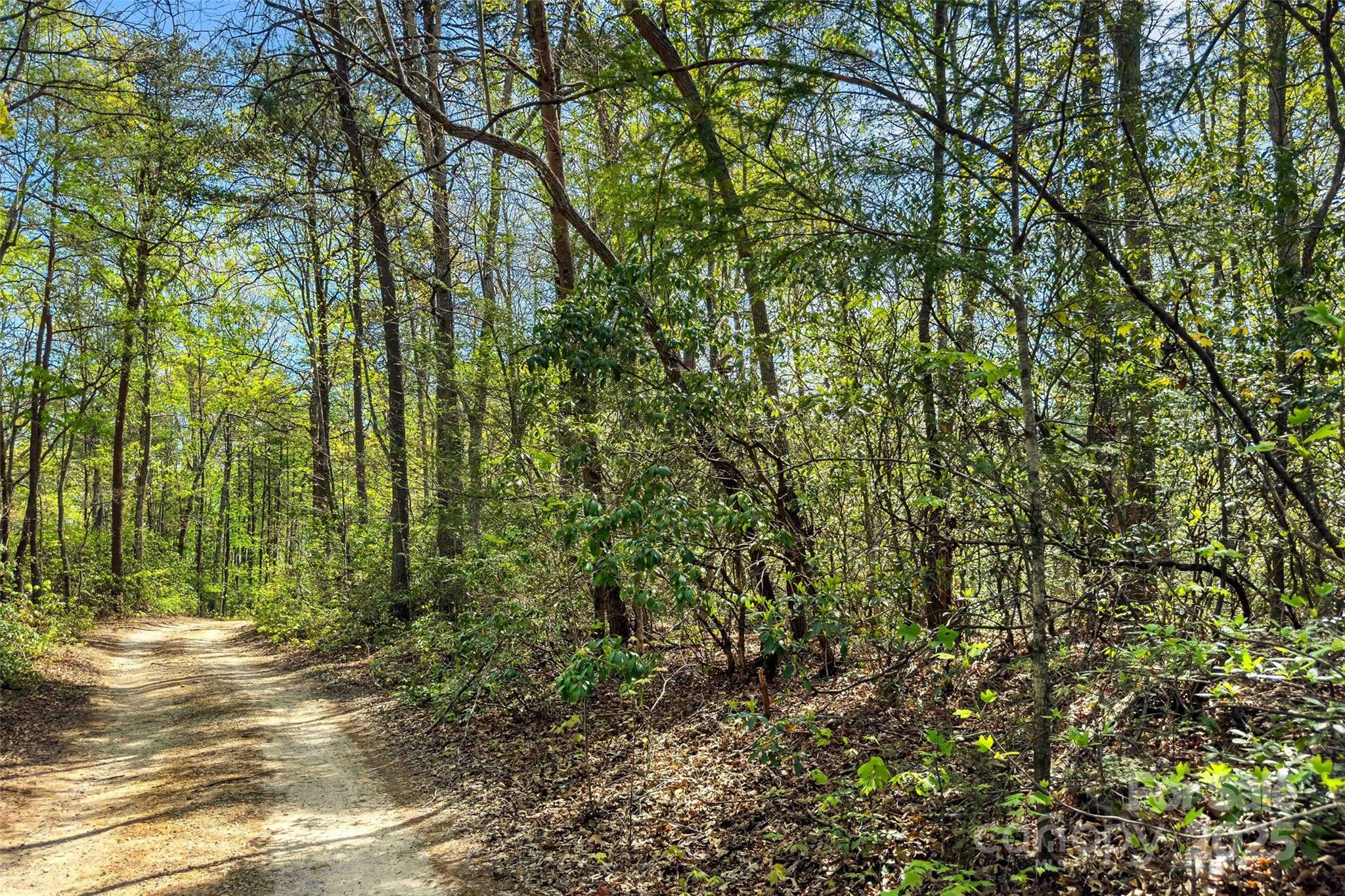 1470 Lytle Mountain Road Marion, NC 28752 - Photo 30 of 44 Gallery Image 30