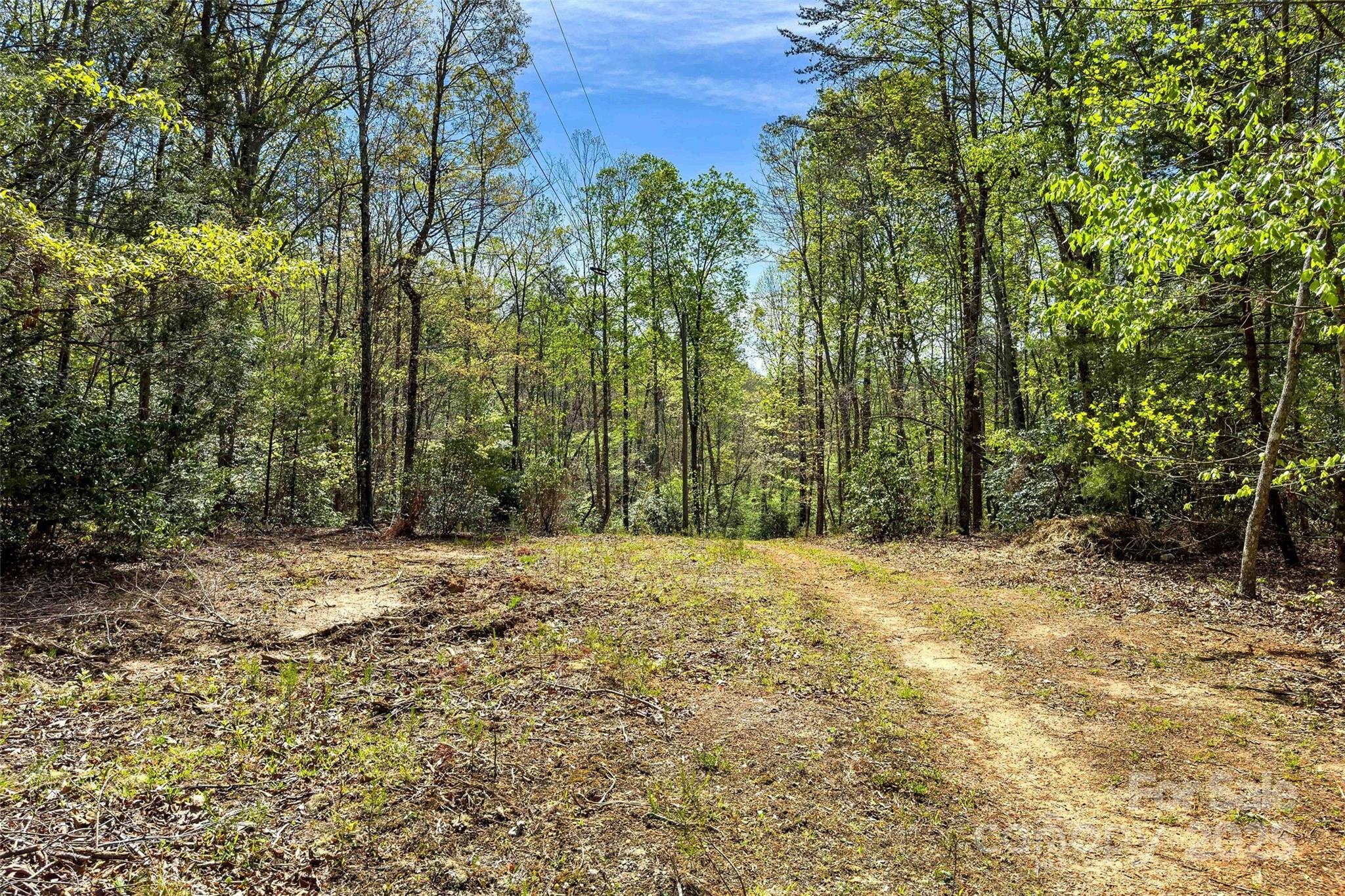 1470 Lytle Mountain Road Marion, NC 28752 - Photo 31 of 44 Gallery Image 31