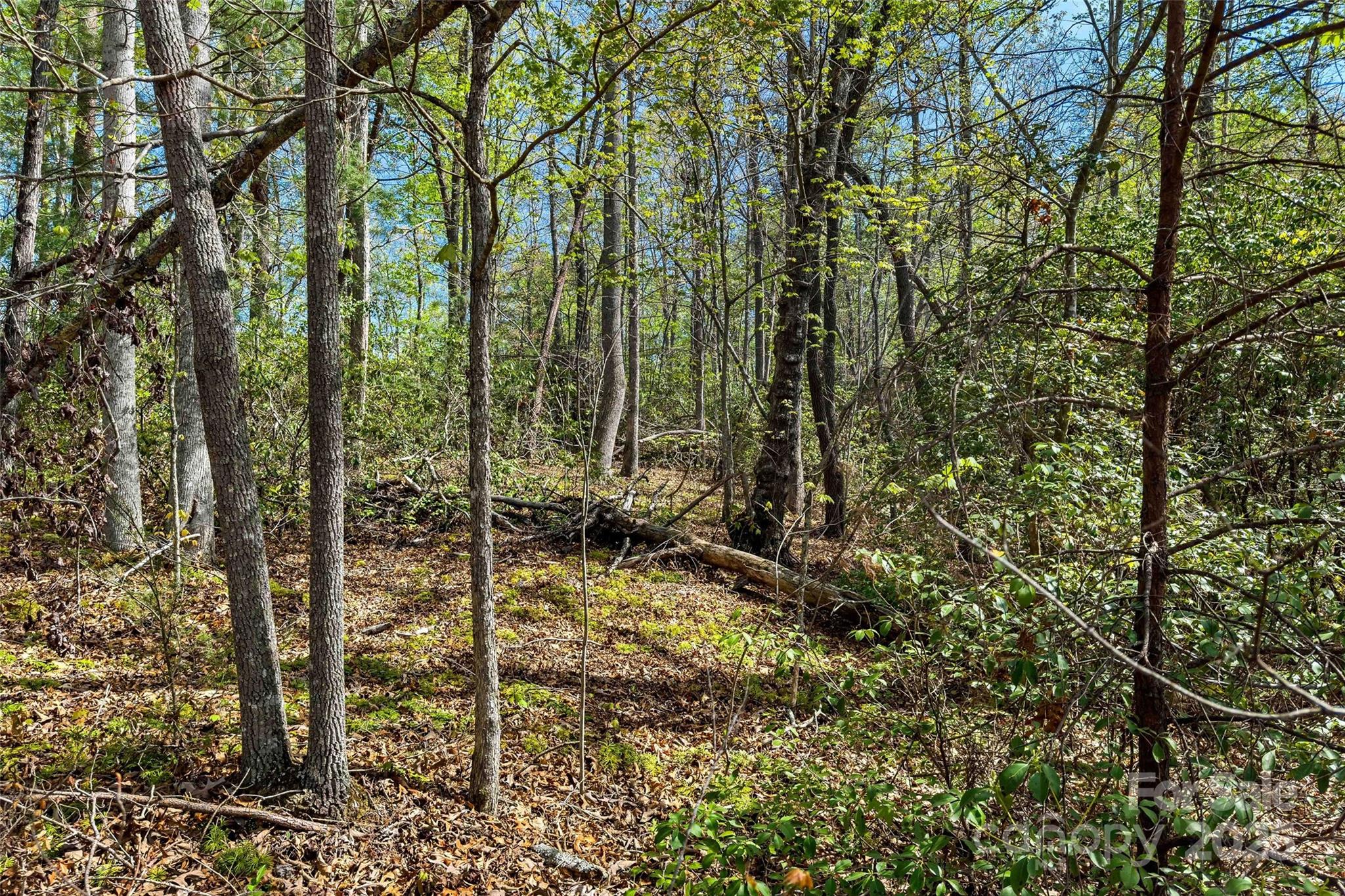 1470 Lytle Mountain Road Marion, NC 28752 - Photo 32 of 44 Gallery Image 32