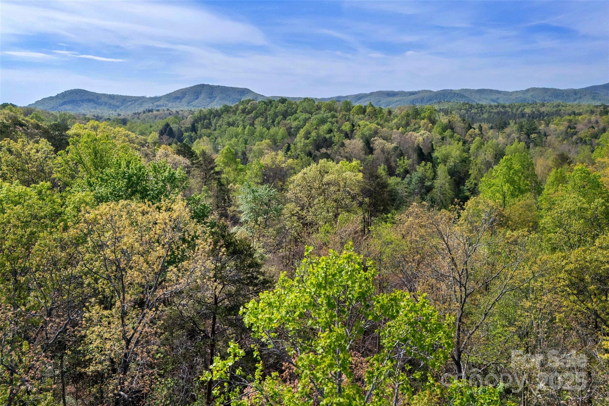 1470 Lytle Mountain Road Marion, NC 28752 - Photo 44 of 44 Gallery Image 44