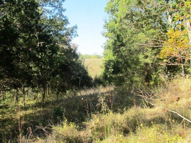0 Middleton Road Williamstown, KY 41097 - Photo 4 of 13 Gallery Image 4