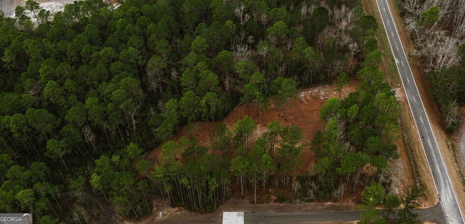 1743 Shawnee Egypt Road Guyton, GA 31312 - Photo 11 of 28 a view of a yard