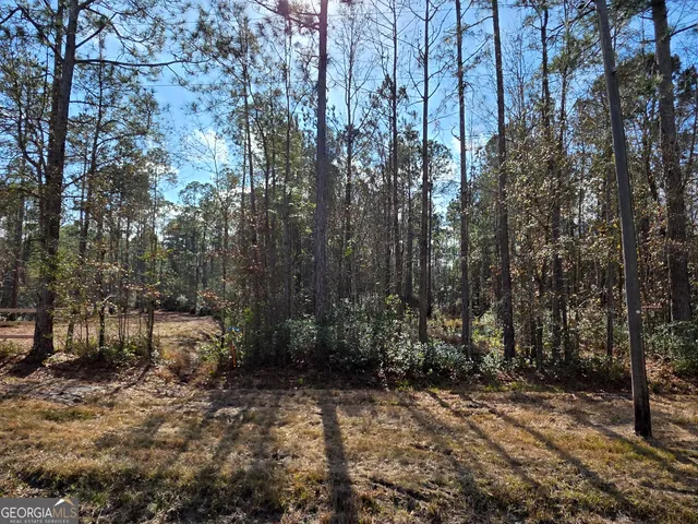 a view of a forest with trees
